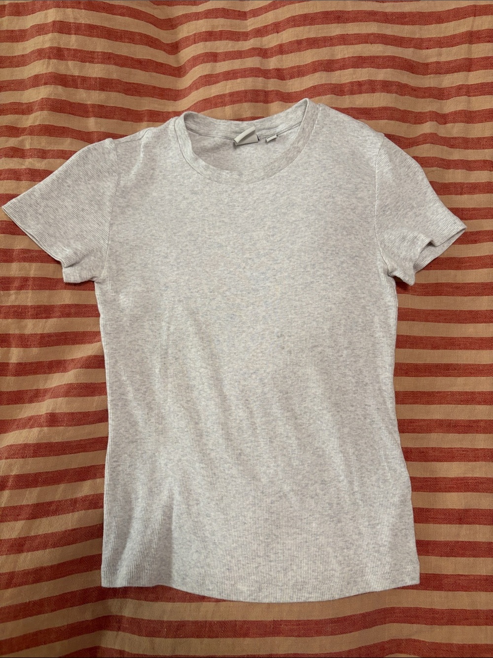 Aritzia homestretch t shirt